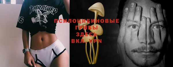 прущие крисы Михайлов